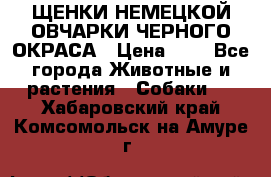 ЩЕНКИ НЕМЕЦКОЙ ОВЧАРКИ ЧЕРНОГО ОКРАСА › Цена ­ 1 - Все города Животные и растения » Собаки   . Хабаровский край,Комсомольск-на-Амуре г.
